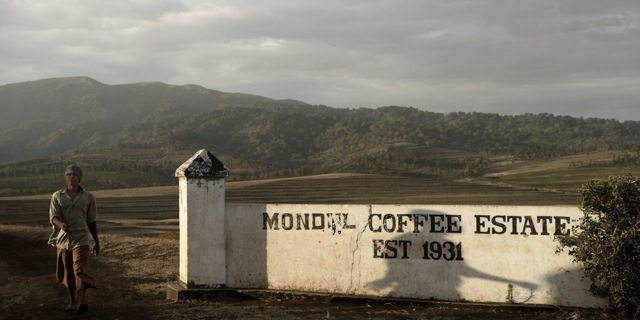 On Producing Coffee in Tanzania #1 Jan E. Bolte