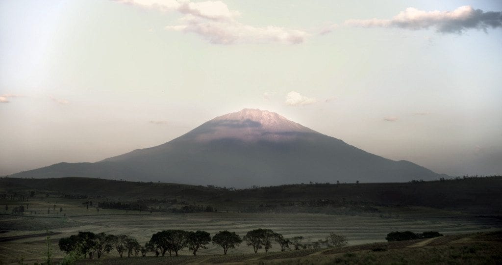 On Producing Coffee in Tanzania #3 Jan E. Bolte