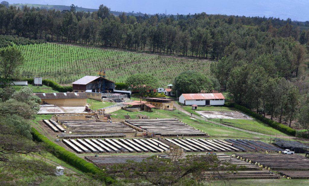 On Producing Coffee in Tanzania #2 Jan E. Bolte