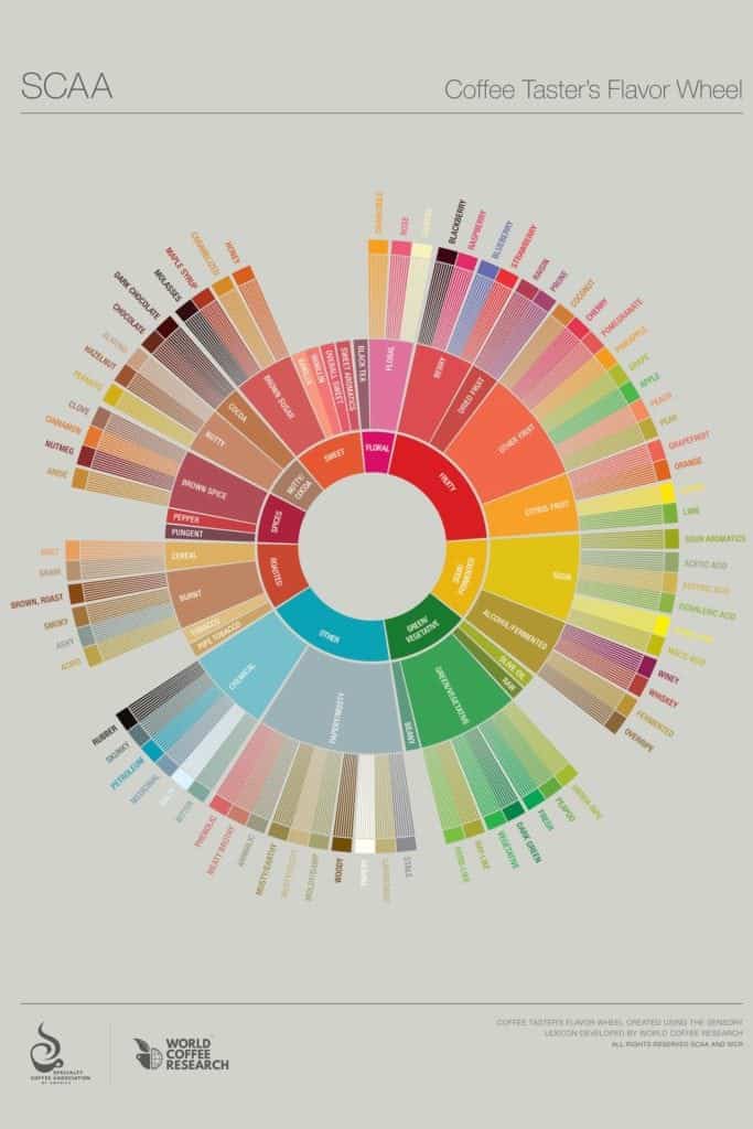 flavor wheel - better cupping sheet