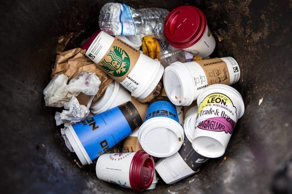 The Best And Worst To-Go Coffee Cups For The Planet, Ranked