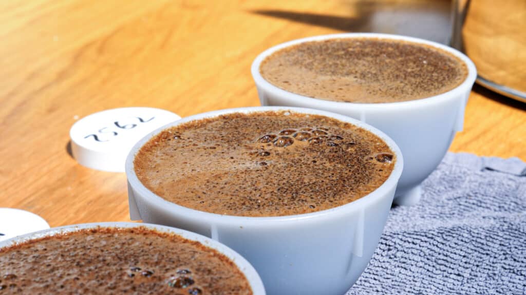 https://europeancoffeetrip.com/wp-content/uploads/2021/10/coffee-crust-in-the-cupping-bowl-1024x576.jpg