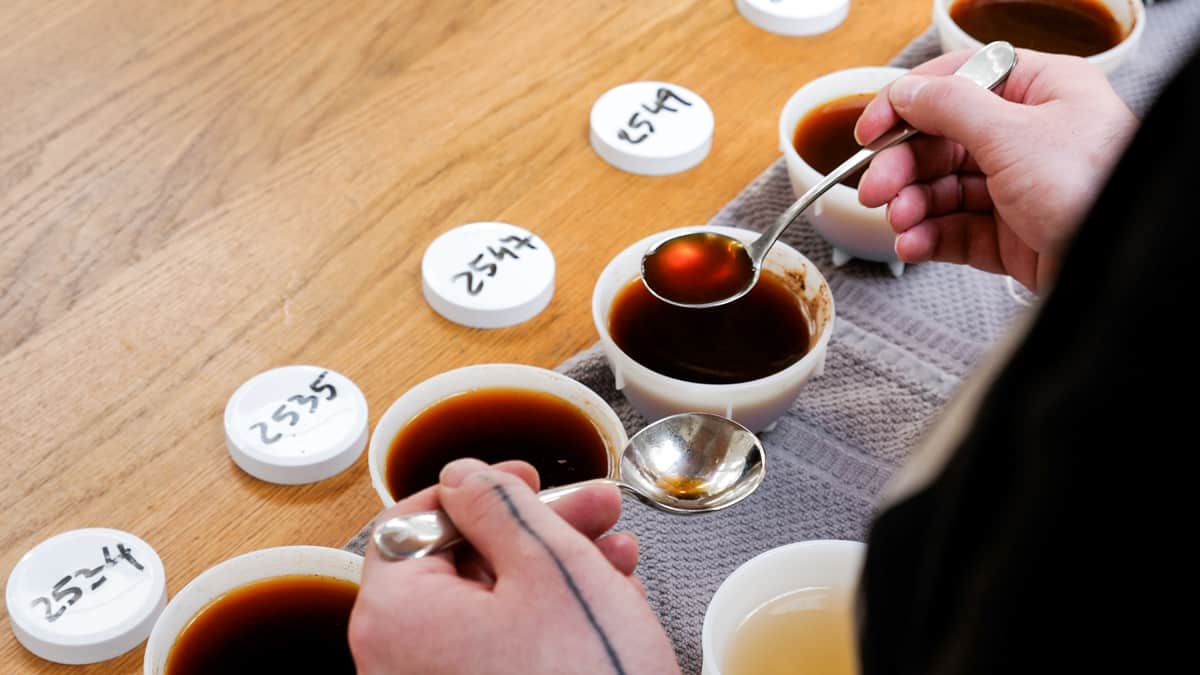 How To a QGrader A Personal Story European Coffee Trip