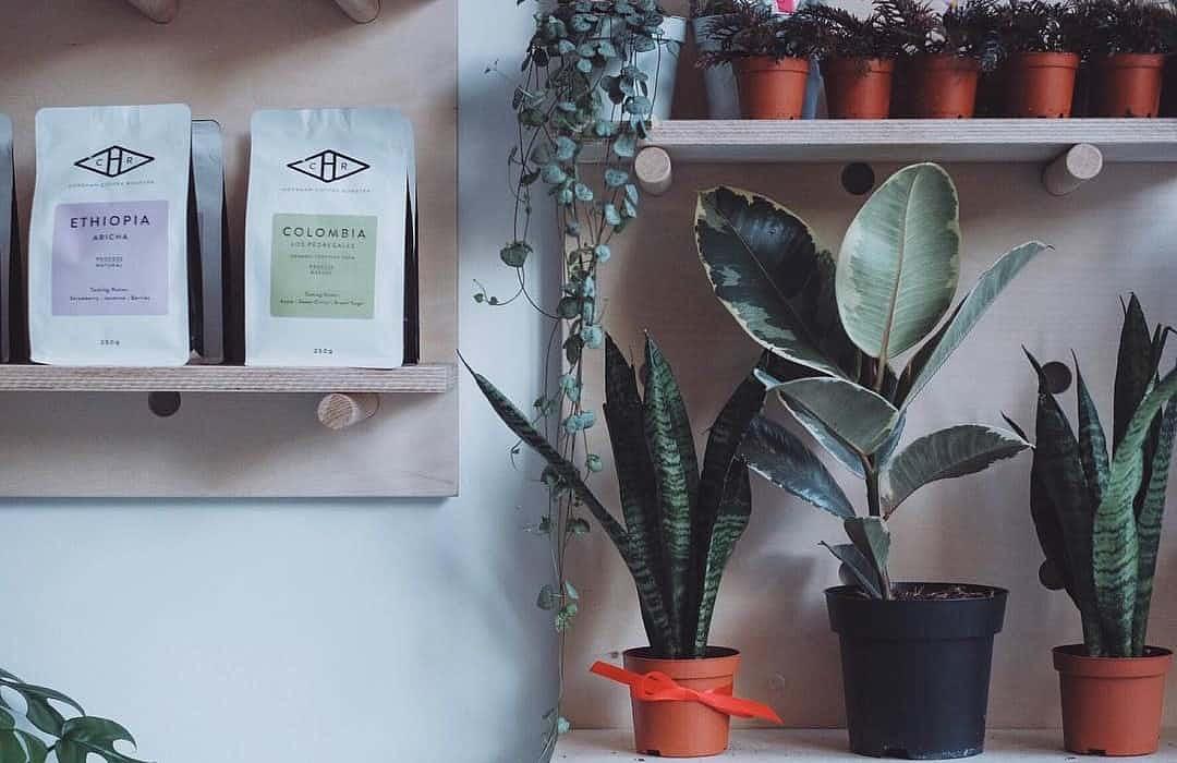 Urban Botanica by EUROPEAN_COFFEE_TRIP